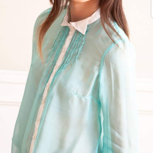 Jane shirt. Sheer button down Top . - Picture 4 of 7